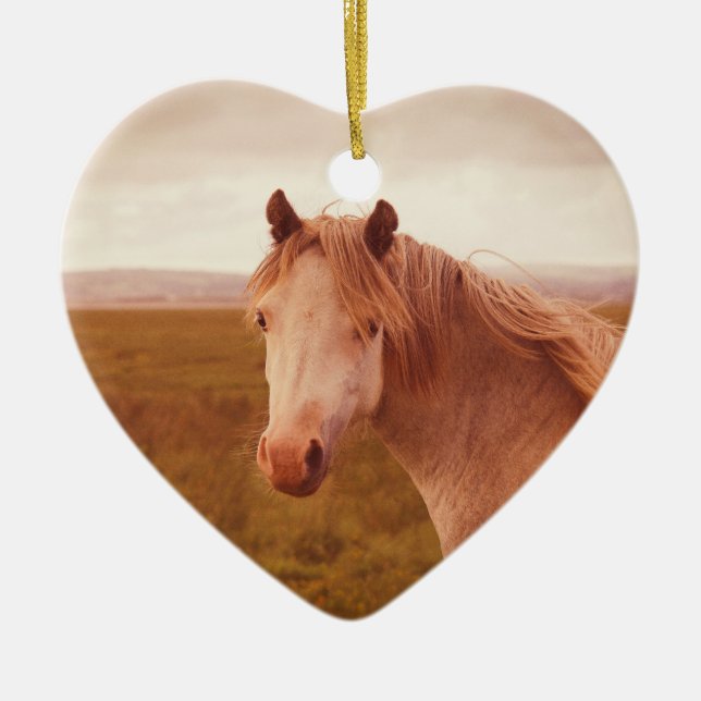 Vintage vild häst julgransprydnad keramik (Framsidan)