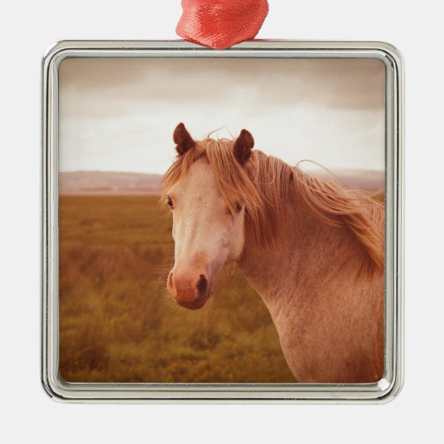 Vintage vild häst julgransprydnad metall (Framsidan)