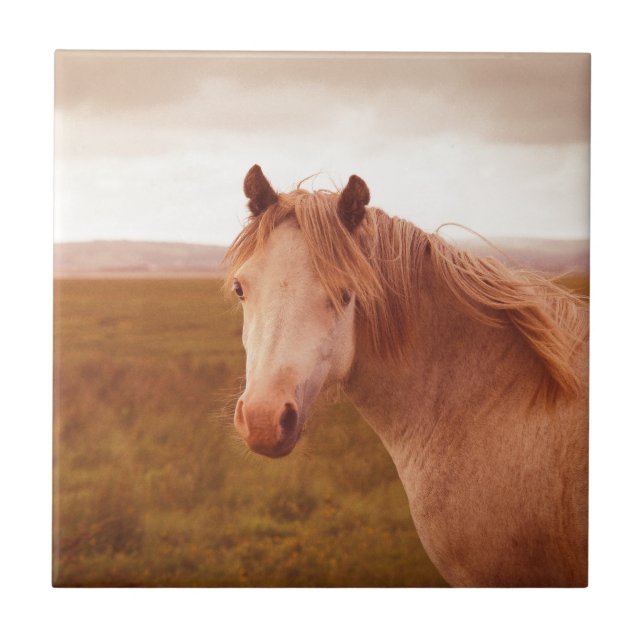 Vintage vild häst kakelplatta (Framsidan)