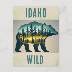 Vintage Vild Idaho Bear Travel Vykort