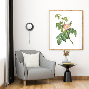 Vintage Vild Ro Botanical Art Printable Poster
