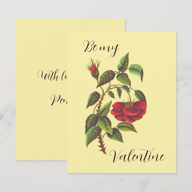 Vintage Vild Röd ros Alla hjärtans dagskort (Fram/baksida)