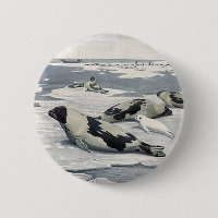Vintage Vilda djur, Artic Harbour Sälar Icebergs