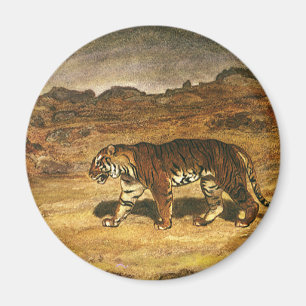 Vintage vilda djur, Bengalisk tiger strövar på slä Magnet
