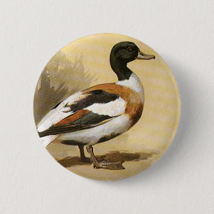 Vintage Vilda djur Birds, Mallard Anka Knapp