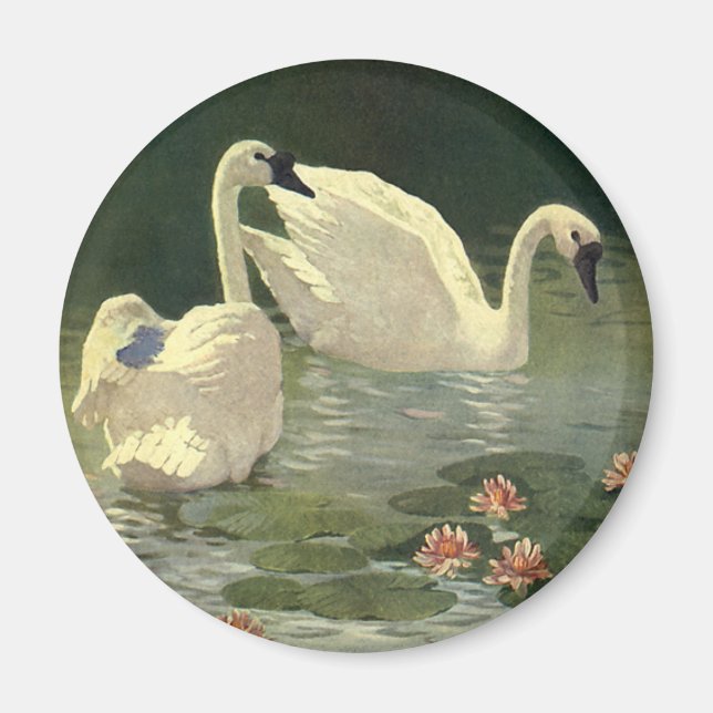 Vintage Vilda djur Birds, Victorian White Svanar Magnet (Framsidan)