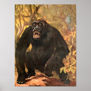 Vintage Vilda Djur, Gorilla eller Stor Ape av CE S Poster
