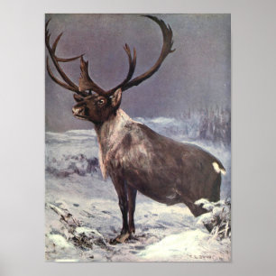 Vintage Vilda djur, Reindeer Västindiou by CE Svan Poster