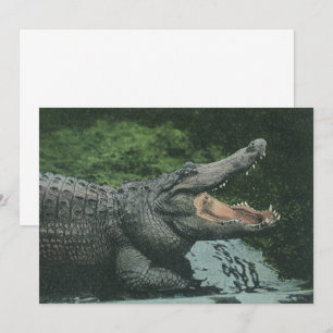 Vintage Vilda djur Reptiles Crokodile-inbjudan Inbjudningar