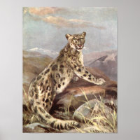 Vintage Vilda Djur, Snöleopard av CE Swan