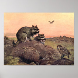 Vintage Vilda djur, Vizcachas av Winifred Austen Poster