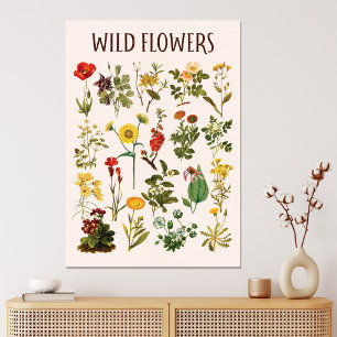 Vintage Vildblomsdiagram Canvastryck