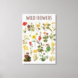 Vintage Vildblomsdiagram Canvastryck