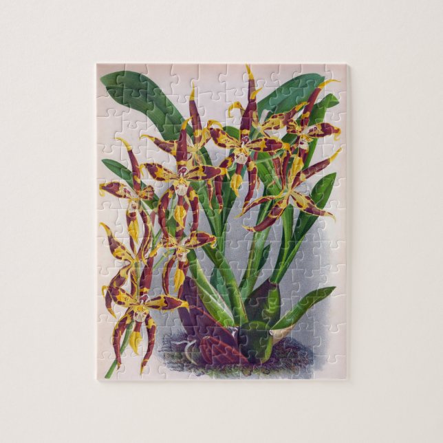 Vintage Vin & Gult Orchid Odonhandlossum Cuspida Pussel (Vertikal)