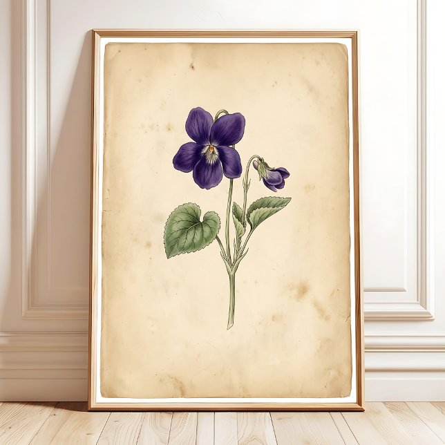 Vintage Violett Väggkonst Inramad Tryck (Skapare uppladdad)