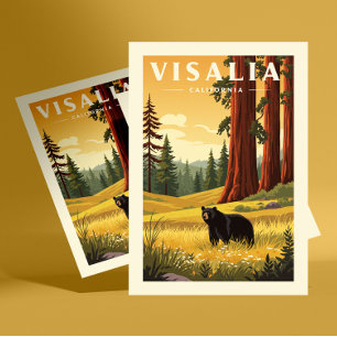 Vintage Visalia California Vykort