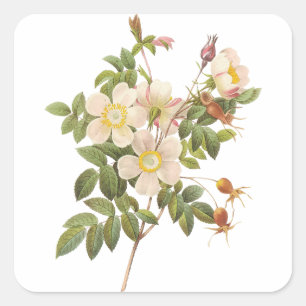 Vintage Vit Blommigt Fyrkantigt Klistermärke