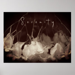 Vintage Vit Blommigt Poster