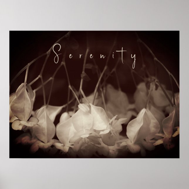 Vintage Vit Blommigt Poster (Framsidan)