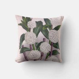 Vintage Vit orkid Dendrobrium Purpurem Kudde