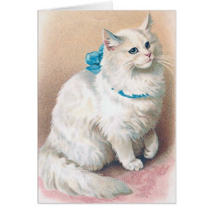 Vintage - vitkatt med blåttpilbågen, hälsningskort