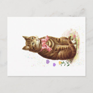 Vintage vycard Classic Tabby katt med Rosa bin Vykort