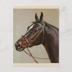 Vintage vykort