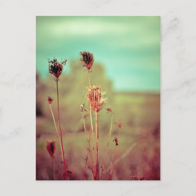 Vintage Vykort (Framsida)