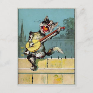 Vintage - vykort för enstaka katt