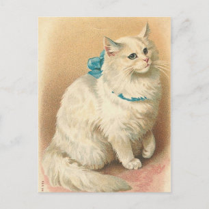 vintage-vykort för katt vykort