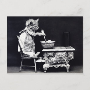 Vintage vykort Katt i tryckfärgning