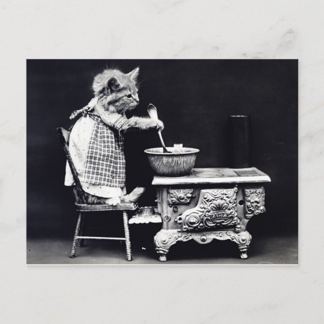 Vintage vykort Katt i tryckfärgning (Framsida)