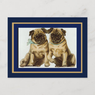 Vintage vykort Pug hundar