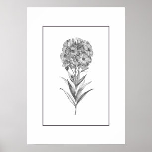 Vintage Wall-blomman som hämtar utskrift Poster