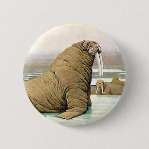 Vintage Walrus på Iceberg i Arktis, Vilda djur Knapp