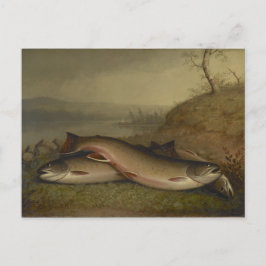 Vintage Walter Brackett Trout Vykort