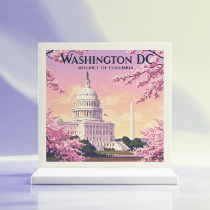 Vintage Washington D.C. Kakelplatta