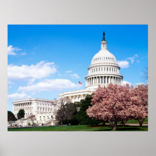 Vintage Washington DC Poster