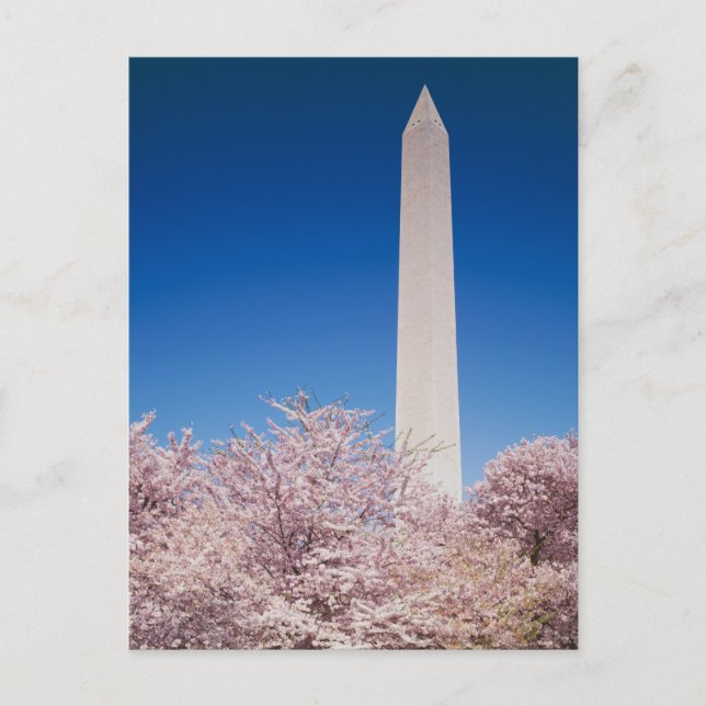 Vintage Washington DC-vykort Vykort (Framsida)