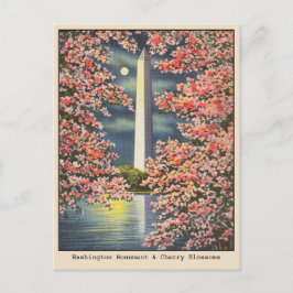 Vintage Washington Monument & Cherry Blommars DC Vykort