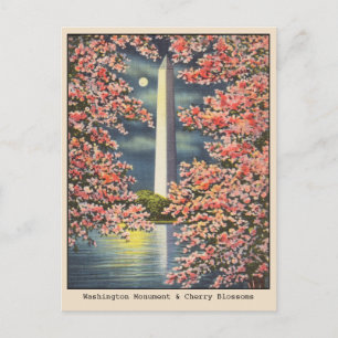 Vintage Washington Monument & Cherry Blommars DC Vykort
