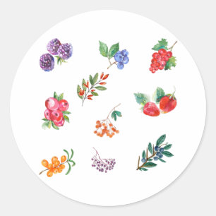Vintage Watercolor Berries och Vild Berries Runt Klistermärke