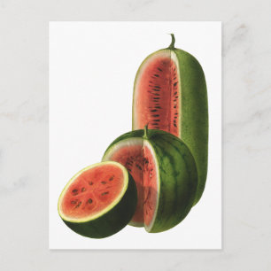 Vintage Watermelons Tall Round, Organic Food Fruit Vykort