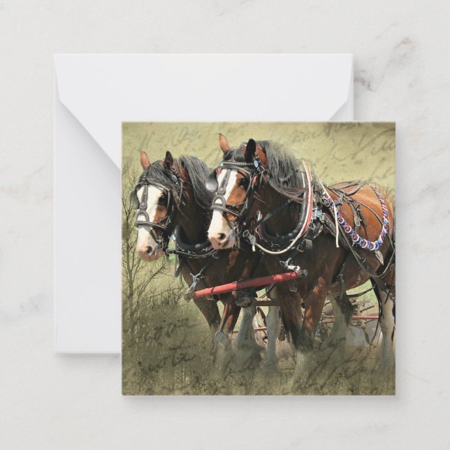 Vintage Weasted Clydesdale Postcard Anteckningskort (Framsida)