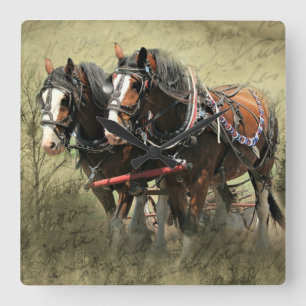 Vintage Weasted Clydesdale Postcard Fyrkantig Klocka