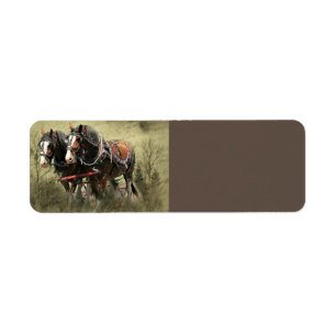 Vintage Weasted Clydesdale Postcard Returadress Etikett