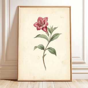 Vintage Weigela Botanisk Konst Canvastryck Poster