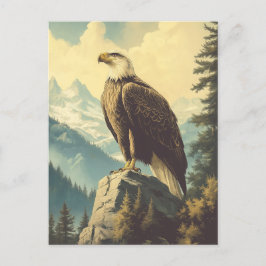 Vintage Weisskopfseeadler Alaska Postkarte Vykort