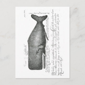 Vintage Whale Design Vykort