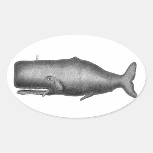 Vintage Whale Ovalt Klistermärke